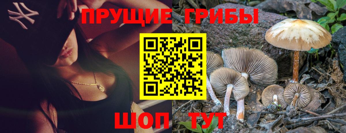Галлюциногенные грибы мицелий  Псилоцибиновые грибы мухоморы  Вход с VPN  Богородск 